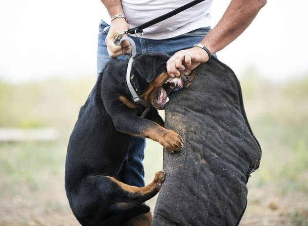 La protection de votre nom de domaine : un enjeu crucial